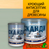 Антисептик Акватекс Сканди фьорд 2,5 л (с воском) до 30 м2