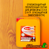 Огнебиозащитный состав Woodmaster Фенилакс 6 л (до 24 м2 от уровня защиты)